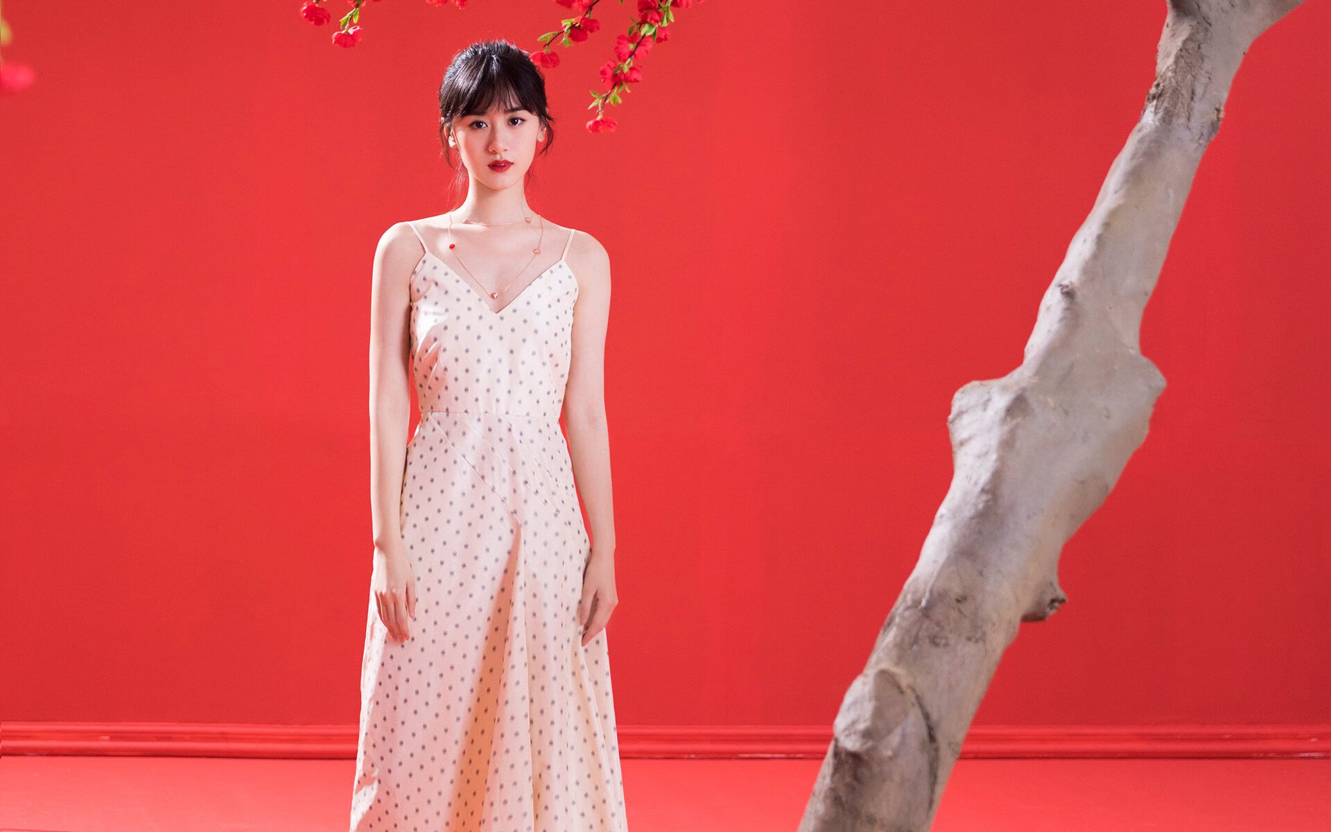 开云APP-“篮球校园巡讲”青少年科普讲座在青海全面铺开，弘扬体育文化