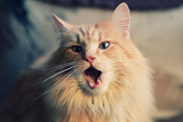 KAIYUN 中国大陆-《电竞帮扶贫困地区：公益赛事助力乡村振兴》，电竞帮可不可靠