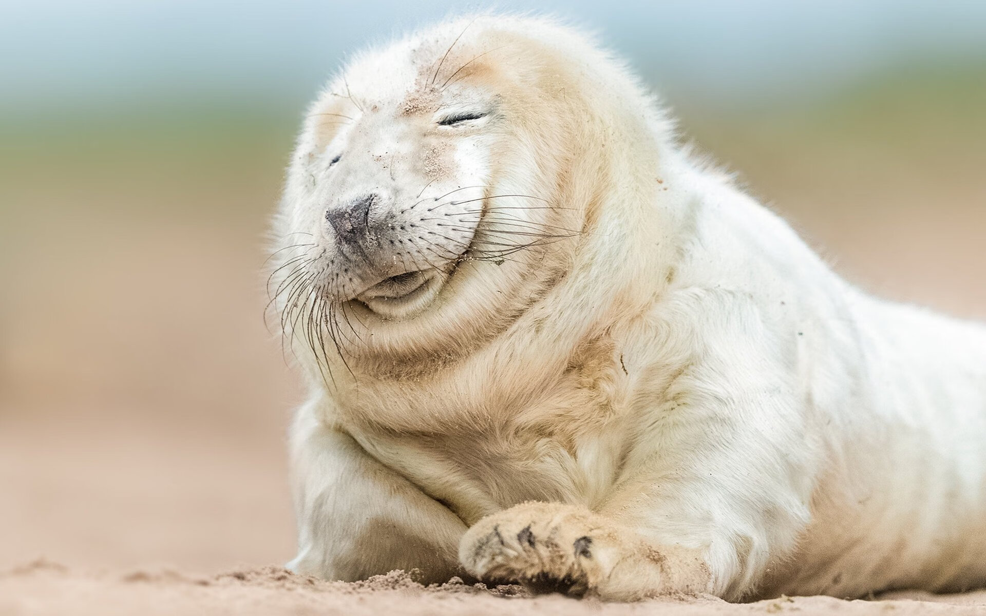 开云体育下载官网-一带一路极限运动赛事：促进文化交流