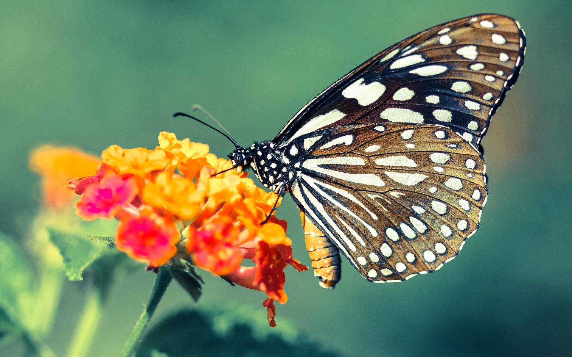 开yun体育-德国男子皮划艇选手诺亚·赫格获得铜牌，奥运男子皮划艇